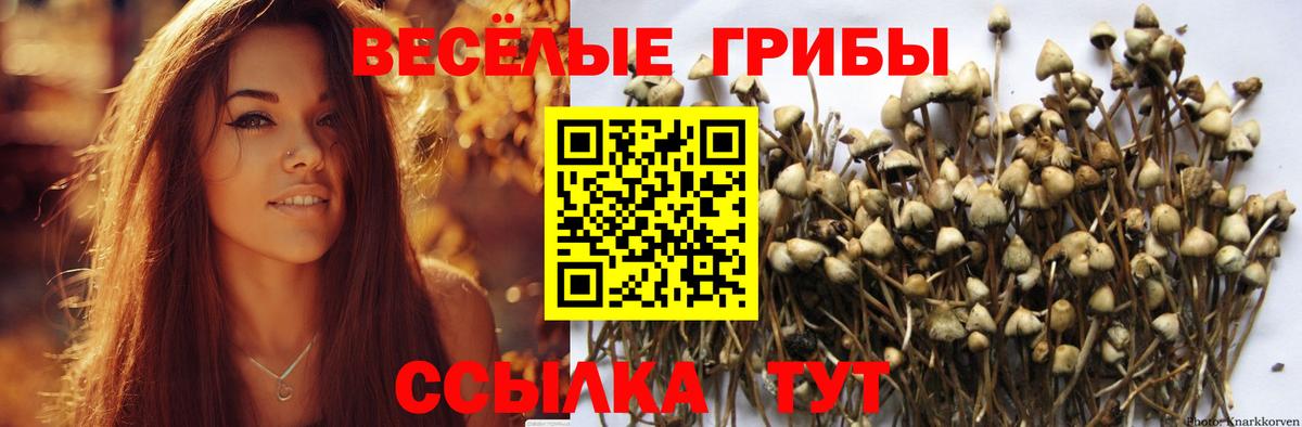 Псилоцибиновые грибы Cubensis Алапаевск