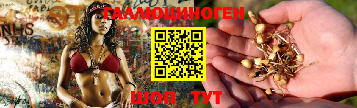 Алапаевск  Галлюциногенные грибы ЛСД  Вход с VPN 